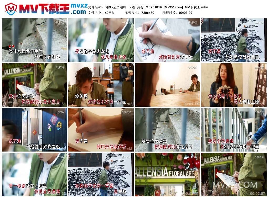 阿细-全员通缉_国语_流行_ME901819